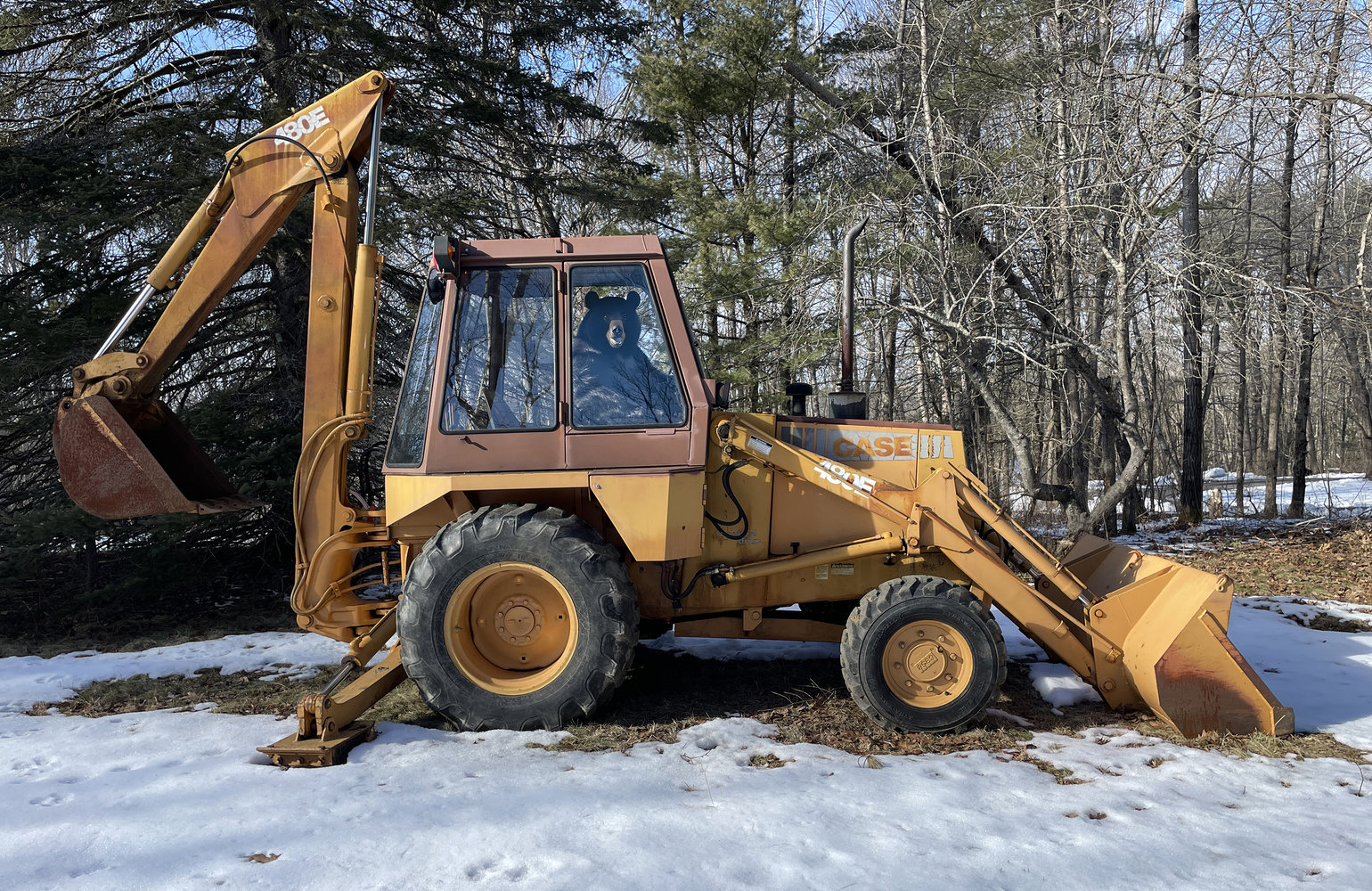 bear-operating-backhoe-smaller-image.jpg