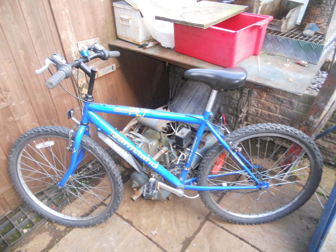 Raleigh manta cheap ray mountain bike