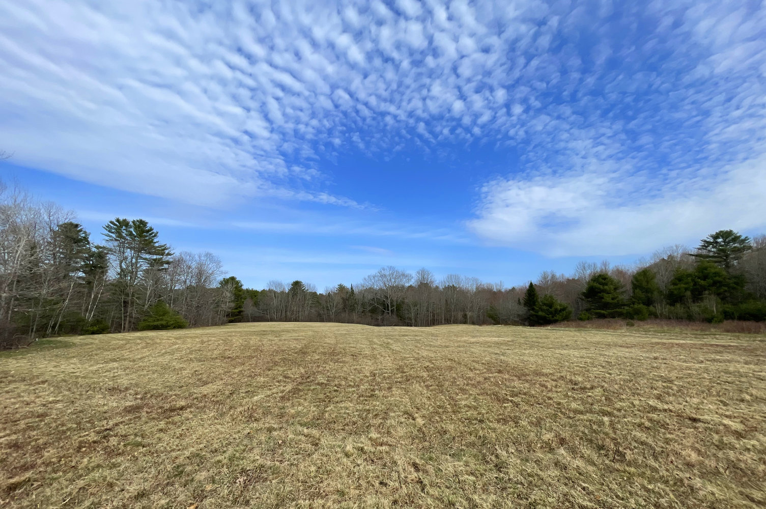 field-3-looking-east.jpg