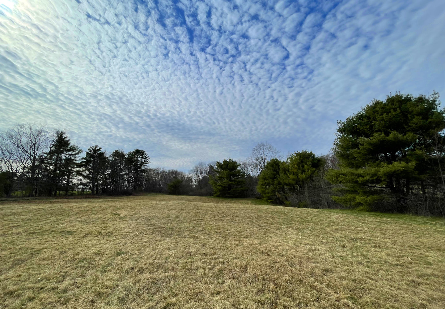 field-3-looking-west.jpg