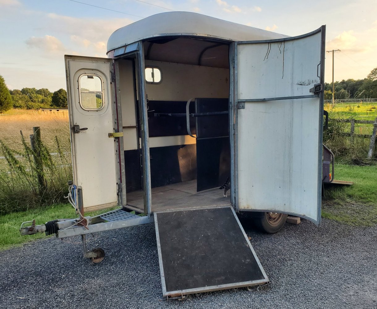 HorseTrailer_40CR.jpg