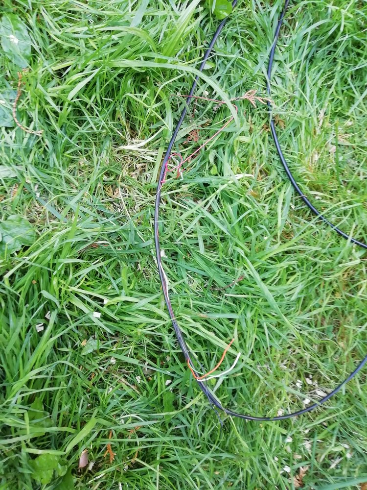 Phone cable 1.jpg