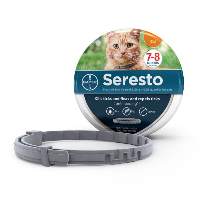 seresto-cat2.jpg