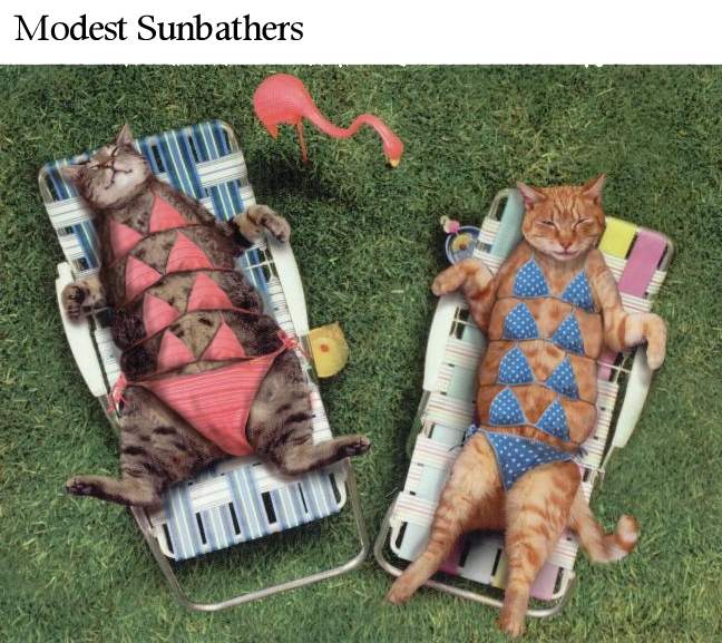 Sunbathers.jpg