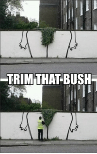 thumb_trim-that-bush-16679473.png