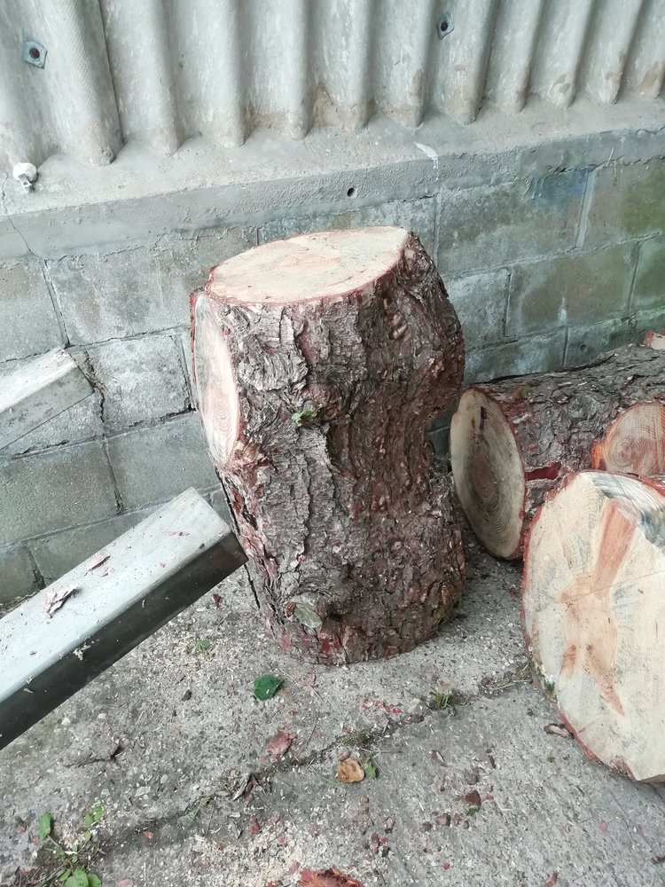 Tin bashing stump.jpg