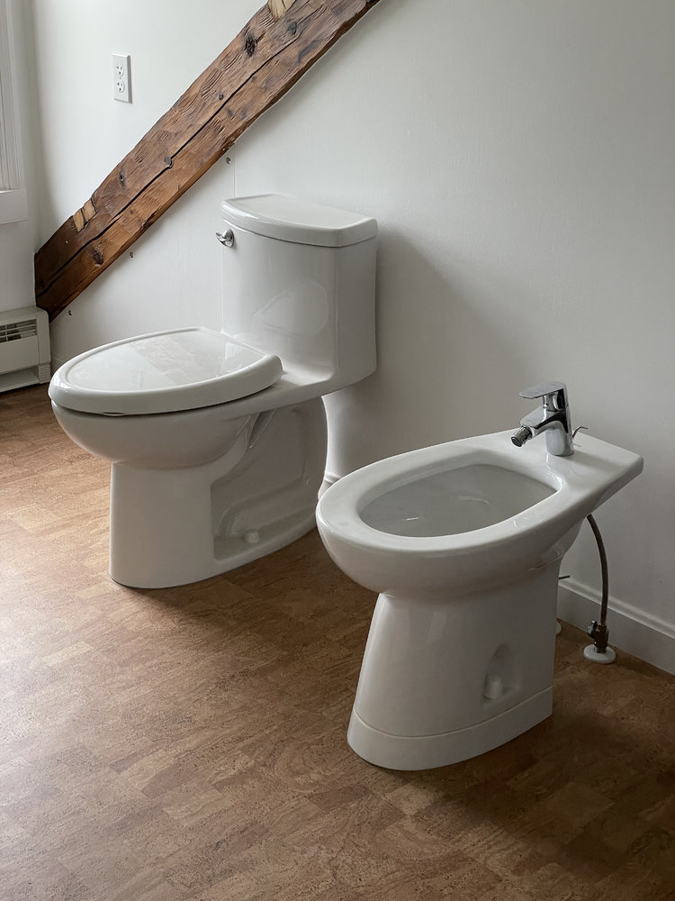 toilet-and-bidet-1.jpg