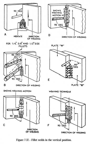 fig0737.jpg