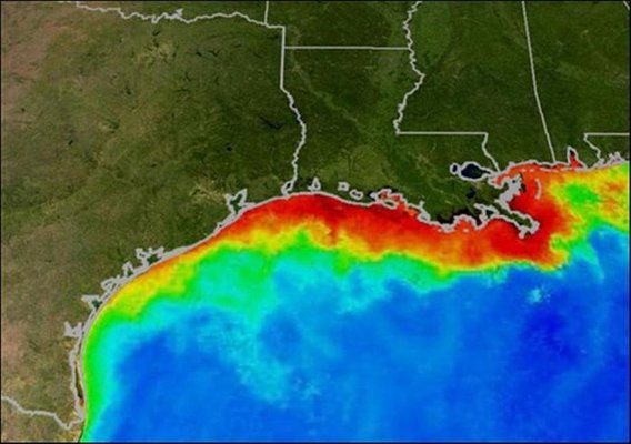 800px-Dead_Zone_NASA_NOAA.jpg