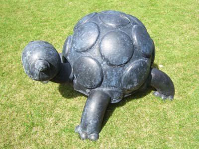 bigtortoise400.jpg