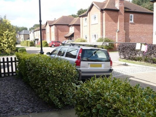 P1030391 (Medium).jpg