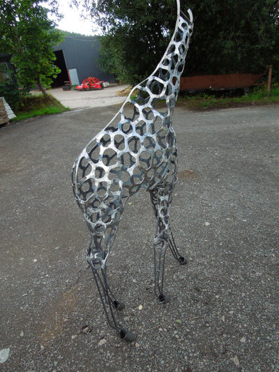 giraffe with feet 011.JPG