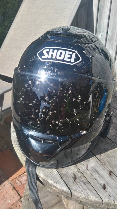 fly helmet.JPG