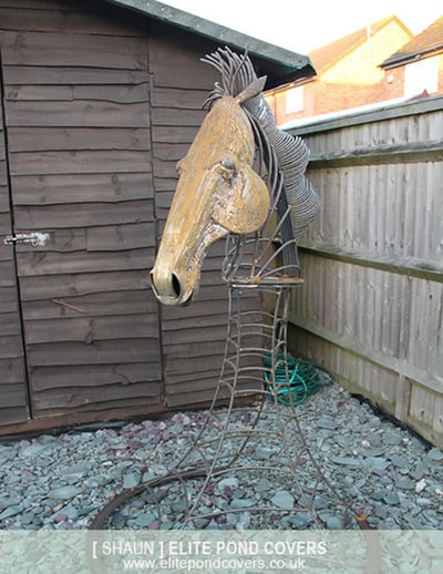 horse-head006.jpg