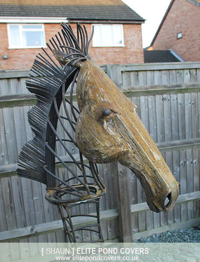 horse-head009.jpg